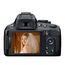 D5100 + AF-S DX NIKKOR 18-55mm f/3.5-5.6G VR Lens Kit, 5 image